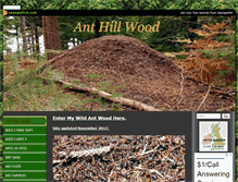 Tablet Screenshot of anthillwood.com